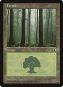 Forest (Ferns on Ground) [Portal] - Destination Retro