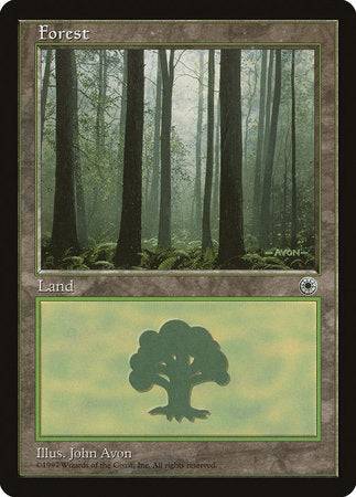 Forest (Ferns on Ground) [Portal] - Destination Retro