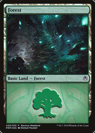 Forest - Golgari (A06) [GRN Ravnica Weekend] - Destination Retro