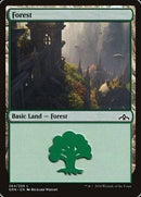 Forest [Guilds of Ravnica] - Destination Retro