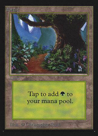 Forest (Path)(IE) [Intl. Collectors’ Edition] - Destination Retro