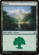 Forest [Rivals of Ixalan] - Destination Retro