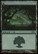 Forest - Shards of Alara Cycle [Magic Premiere Shop] - Destination Retro