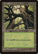 Forest (Skyward) [Tempest] - Destination Retro