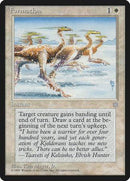 Formation [Ice Age] - Destination Retro