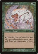 Giant Caterpillar [Mercadian Masques] - Destination Retro