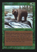 Grizzly Bears (IE) [Intl. Collectors’ Edition] - Destination Retro