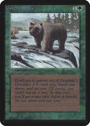 Grizzly Bears [Limited Edition Alpha] - Destination Retro