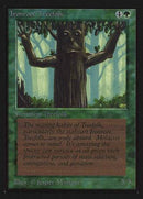 Ironroot Treefolk (CE) [Collectors’ Edition] - Destination Retro