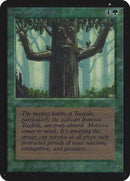 Ironroot Treefolk [Limited Edition Alpha] - Destination Retro