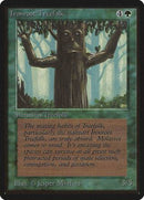 Ironroot Treefolk [Limited Edition Beta] - Destination Retro