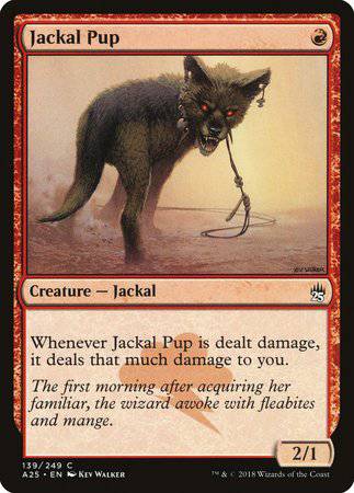 Jackal Pup [Masters 25] - Destination Retro