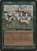 Joven's Ferrets [Homelands] - Destination Retro