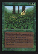Kudzu (CE) [Collectors’ Edition] - Destination Retro