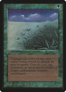 Lifelace [Limited Edition Beta] - Destination Retro