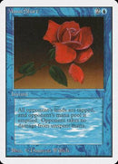 Mana Short [Unlimited Edition] - Destination Retro