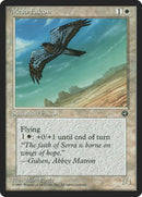 Mesa Falcon (Gulsen Flavor Text) [Homelands] - Destination Retro