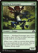 Moldgraf Scavenger [Shadows over Innistrad] - Destination Retro