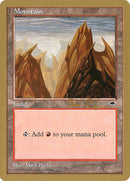 Mountain (br343) (Ben Rubin) [World Championship Decks 1998] - Destination Retro