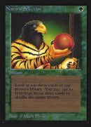 Natural Selection (IE) [Intl. Collectors’ Edition] - Destination Retro