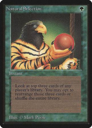 Natural Selection [Limited Edition Beta] - Destination Retro