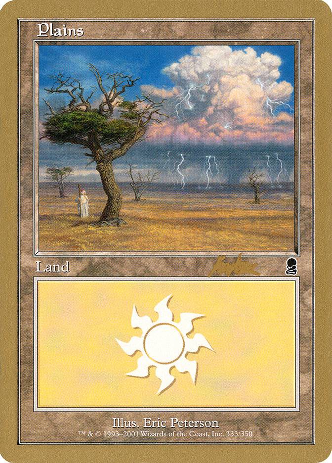 Plains (bk333) (Brian Kibler) [World Championship Decks 2002] - Destination Retro
