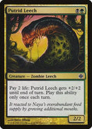 Putrid Leech [Alara Reborn] - Destination Retro