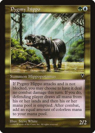 Pygmy Hippo [Visions] - Destination Retro