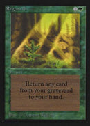 Regrowth (IE) [Intl. Collectors’ Edition] - Destination Retro
