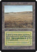 Savannah [Limited Edition Alpha] - Destination Retro