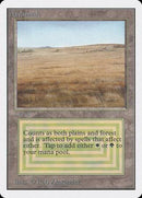 Savannah [Unlimited Edition] - Destination Retro