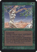 Shanodin Dryads [Limited Edition Alpha] - Destination Retro