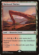Sheltered Thicket [Amonkhet] - Destination Retro