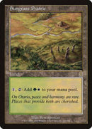 Sungrass Prairie [Odyssey] - Destination Retro