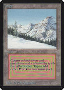 Taiga [Limited Edition Alpha] - Destination Retro