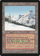 Taiga [Limited Edition Beta] - Destination Retro
