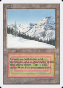 Taiga [Unlimited Edition] - Destination Retro