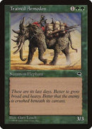 Trained Armodon [Tempest] - Destination Retro