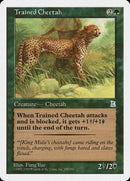 Trained Cheetah [Portal Three Kingdoms] - Destination Retro
