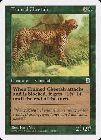 Trained Cheetah [Portal Three Kingdoms] - Destination Retro