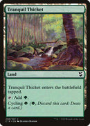 Tranquil Thicket [Commander 2018] - Destination Retro