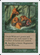 Uktabi Wildcats [Seventh Edition] - Destination Retro