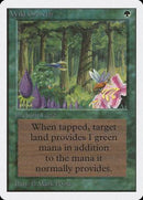 Wild Growth [Unlimited Edition] - Destination Retro