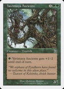 Yavimaya Ancients  (Druid Art) [Deckmasters] - Destination Retro